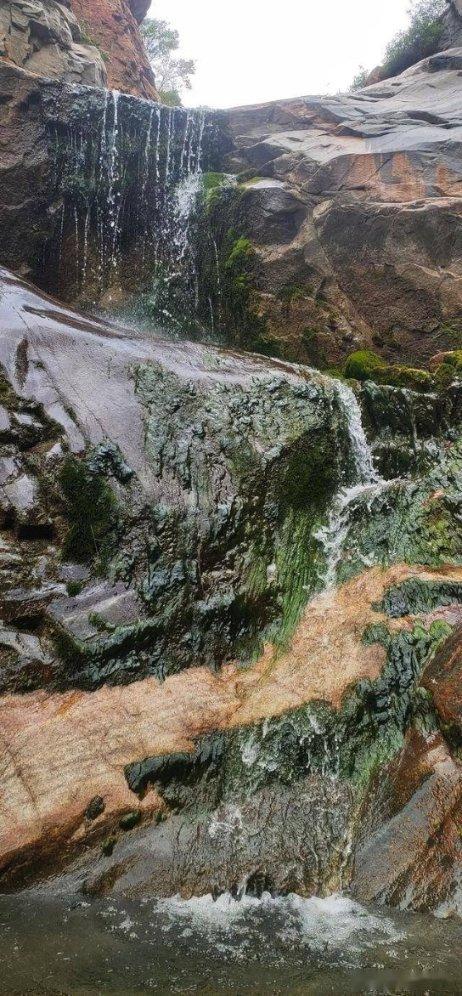 诺安基金股市点评：经济数据稳中有进，建议可择机积极布局
